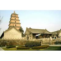 Xi\'an Private Tour: Terracotta Warriors and Big Wild Goose Pagoda Day Tour