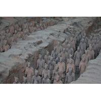 xian private tour terracotta warriors city hall and giant wild goose p ...