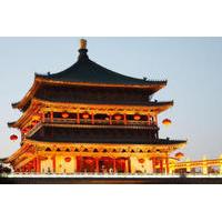 xian full day sightseeing tour shaanxi history museum big wild goose p ...