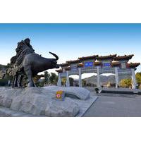 Xi\'an Private Taoist Day Tour: Chongyang Palace and Louguantai