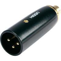 XLR adapter XLR plug - RCA socket (phono) Hicon HI-X3CI-MF 1 pc(s)
