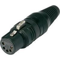 XLR connector Socket, straight Number of pins: 5 Black Hicon HI-X5CF-G 1 pc(s)