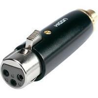 XLR adapter XLR socket - RCA socket (phono) Hicon HI-X3CI-FF 1 pc(s)