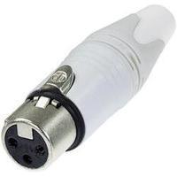 XLR connector Socket, straight Number of pins: 3 White Neutrik NC3FXX-WT 1 pc(s)