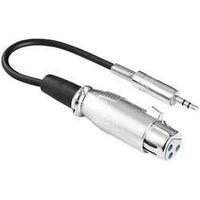 XLR adapter XLR socket - Jack plug 3.5 mm Stereo Hama 41908 1 pc(s)