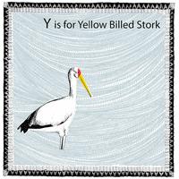 Y is for Yellow Billed Stalk By Clare Halifax