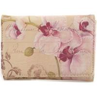 y not k48 wallet accessories beige womens purse wallet in beige