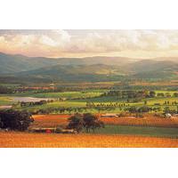 yarra valley wineries and puffing billy steam train day tour from melb ...