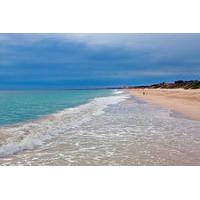 yanchep national park the pinnacles and scarborough beach day trip fro ...