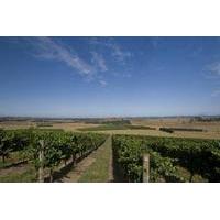 yarra valley winery tour from melbourne including lunch and local guid ...