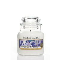 Yankee Midnight Jasmine Small Jar Candle