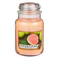 Yankee Candle Delicious Guava Large Jar