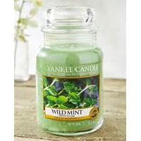 yankee candle wild mint large jar