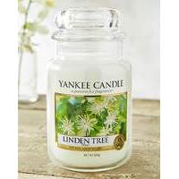 Yankee Candle Linden Tree Large Jar