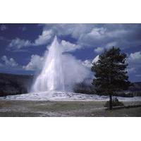 yellowstone lower loop full day tour