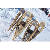 Yellowknife Snowshoeing Tour