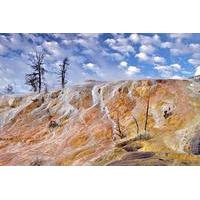 yellowstone nature and wildlife upper loop guided tour from cody wyomi ...