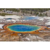 yellowstone nature and wildlife lower loop guided tour from cody wyomi ...