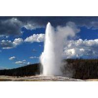 Yellowstone National Park Full-Day Guided Tour