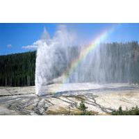 Yellowstone National Park Flight and Ground Tour
