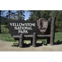 Yellowstone Upper Loop Self Guided Driving Tour from Jackson Hole