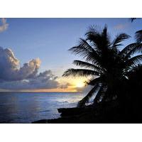 Yellow Bird Apartment