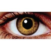 Yellow Oak 3 Month Coloured Contact Lenses (MesmerEyez Infusionz)