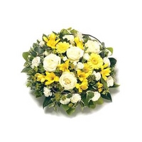 Yellow and White Posy