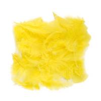 Yellow Craft Feathers