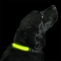 Yellow Light Up Dog Collar