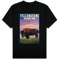 Yellowstone National Park - Bison and Sunset