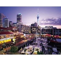YHA Auckland International - Hostel / Backpacker