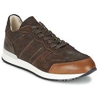 ylati capri mens shoes trainers in brown