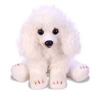 Ymko White Poodle Dog