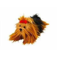 Ymko Yorkshire Terrier Dog Md