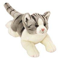 Ymko Grey And White Tabby Cat Md