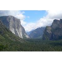 Yosemite in a Day Tour from San Francisco