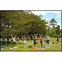 Yoga And Meditation Experience at Lodhi Gardens in Delhi