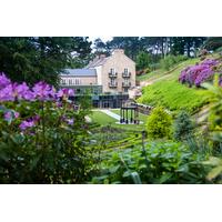 Yorkshire Rose Experience