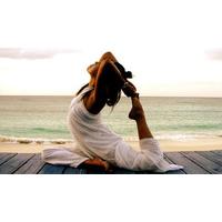 Yoga Diploma Online Course