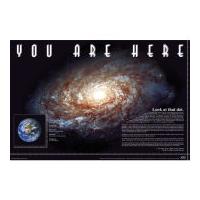 you are here space maxi poster 61 x 915cm