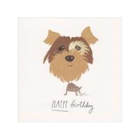 Yorkie Birthday