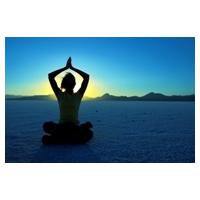 Yoga Power Plate