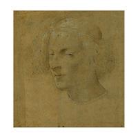 Young Man with Skullcap By Leonardo da Vinci