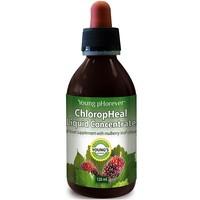 young phorever chloropheal liquid concentrate 120 ml