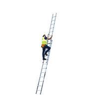 youngman 2 section professional extension ladder 659m