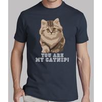 you are my catnip! shirt guy.