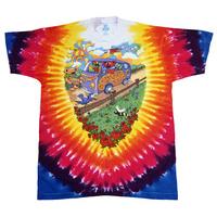 youth grateful dead summer tour bus