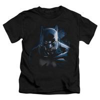Youth: Batman - Don\'t Mess With The Bat