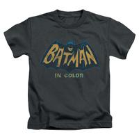Youth: Batman Classic TV - In Color